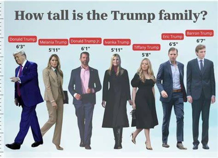 The Unrevealed Truth About: Bareen Trump