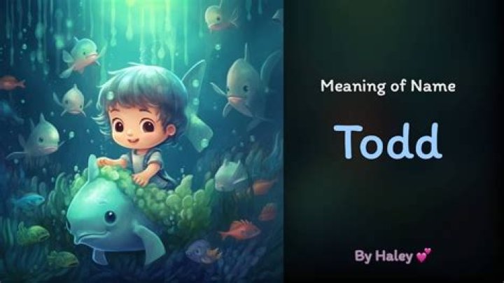 Todd Meaning in English, Todd Baby Name Origin Gender Meaning Pronunciation