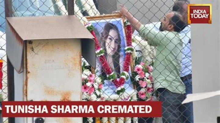 Top Cremated Celebrities: A Glimpse Into Their Final Resting Places
