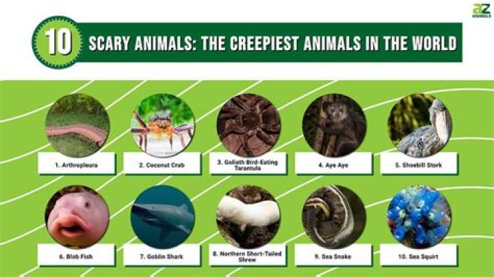 Top Five Terrifying Animal Names