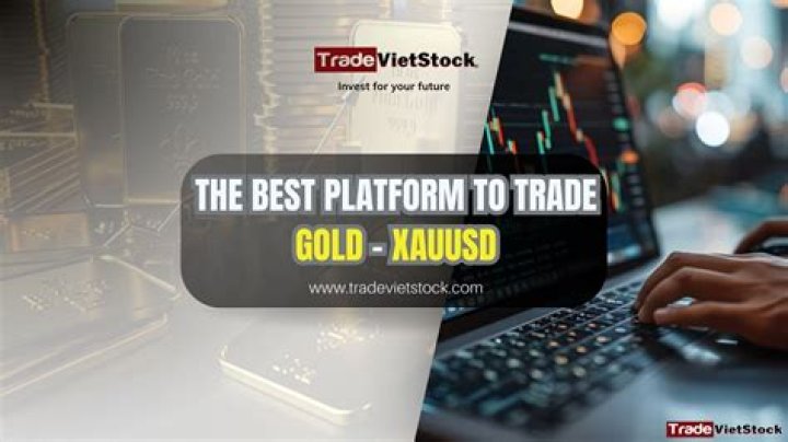 Top Rated Toptoom.cc Platform | Uncover The Best