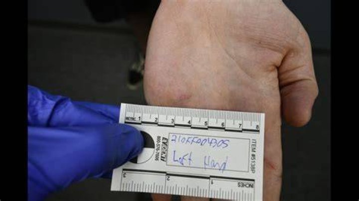 Tristyn Bailey Autopsy Report Reveals New Developments