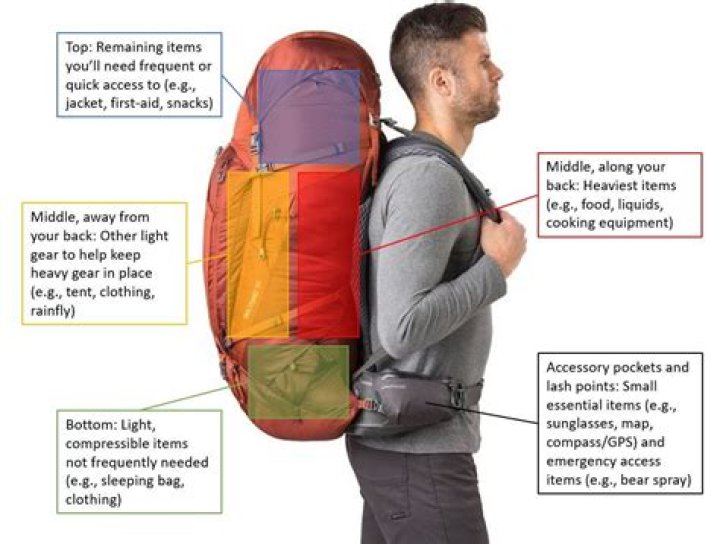 Uncover Essential Items For A Backpack-Free Day: Discoveries And Insights