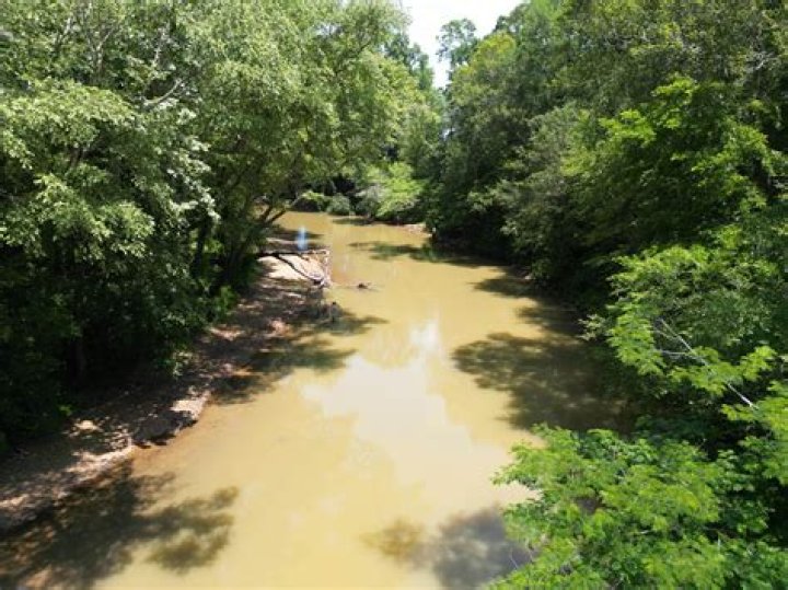 Uncover Huntsville's Hidden Gems: Beyond The Games