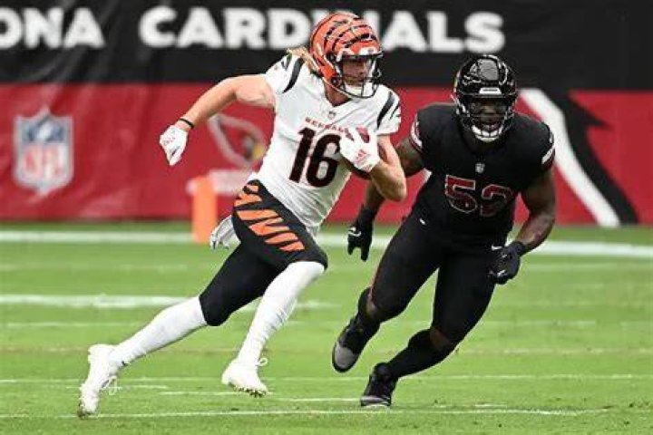 Uncover The Impact Of Tyler Irwin: Cincinnati Bengals' Underrated Gem