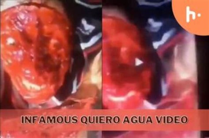 Uncover The Ultimate "Quiero Agua" Video Guide