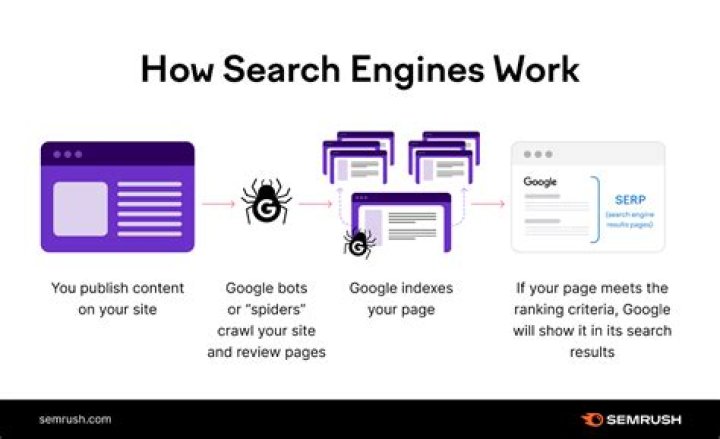Uncover Your Website's Google Rank With Our Comprehensive Tool