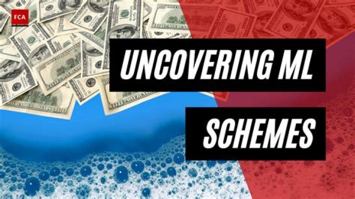 Uncovering Insights Behind Mayseeds Leaks