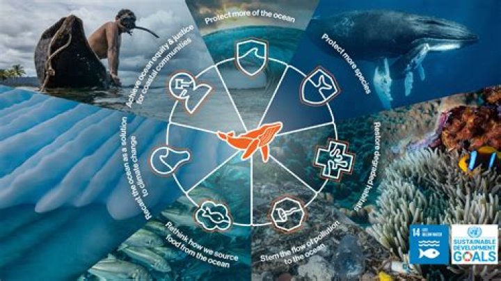 Uncovering The Life And Impact Of Ocean Ramsey, Marine Conservation Icon