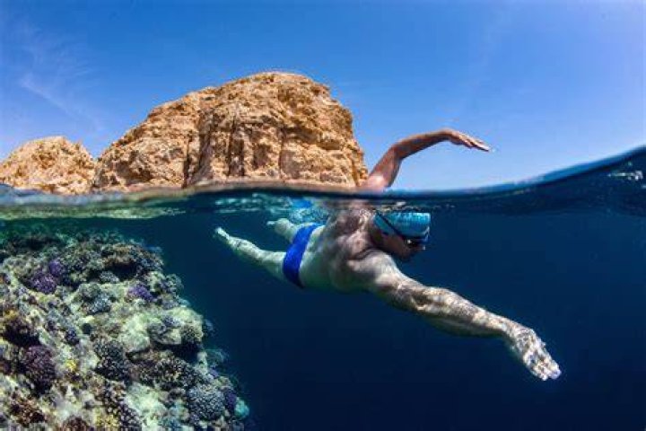 Uncovering The Personal Life Of The Endurance Swimmer