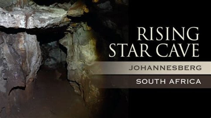 Uncovering The Roots Of The Rising Star