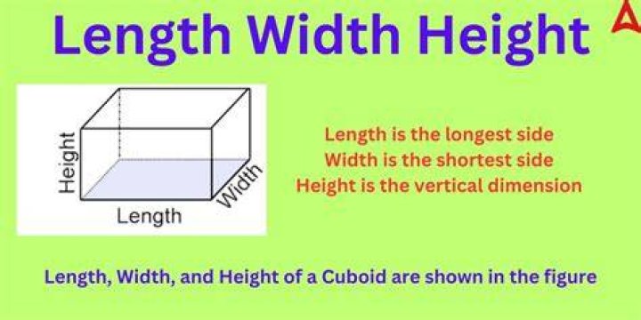 Understanding The Height Of Vladimir: A Detailed Exploration