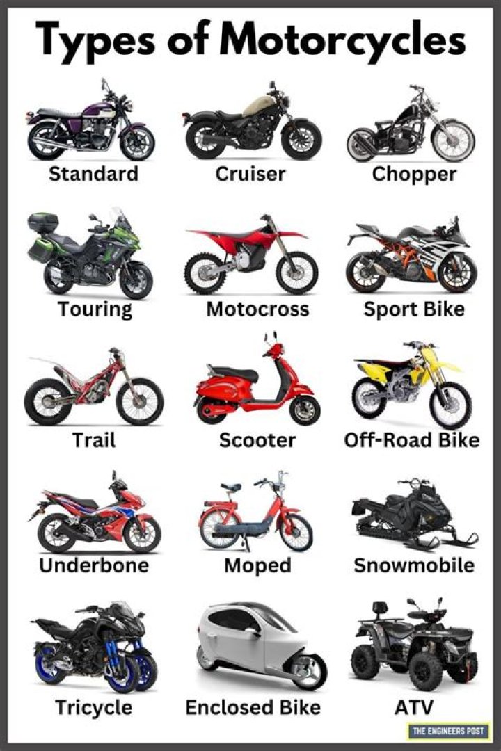 Unforgettable Monikers For Your Iron Horse: Top Names For Motorbikes
