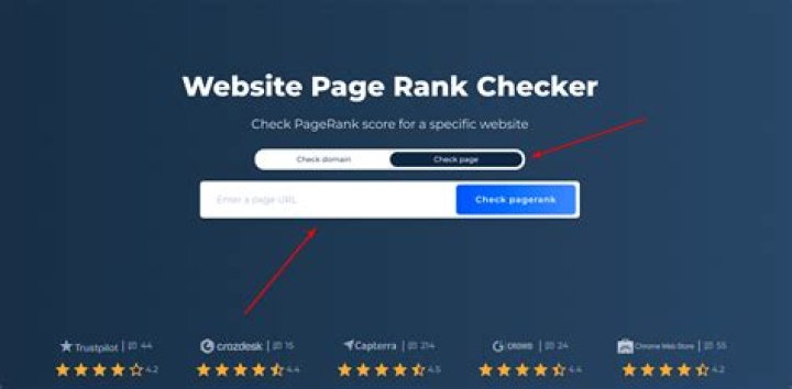 Unlock Your Online Potential: The Definitive Web Rank Checker