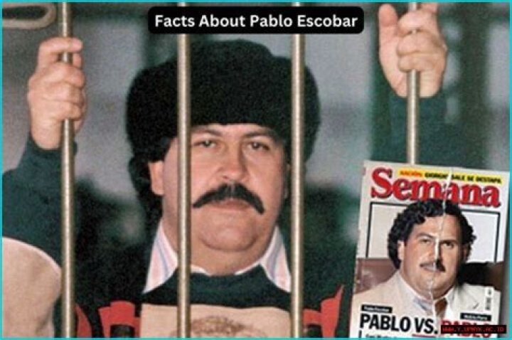 Unlocking The Wealth Of Pablo Escobar: A Comprehensive Guide