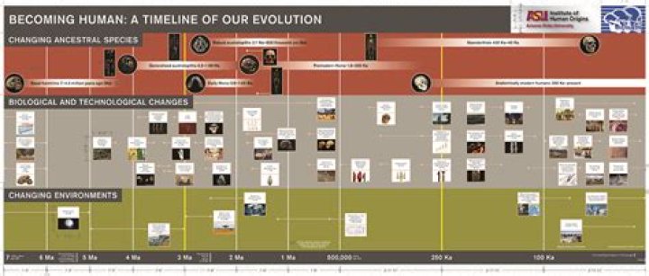 Unraveling Steve Urkel's Evolution: Discoveries And Insights