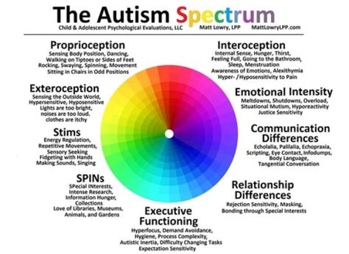 Unraveling The Enigma: James Holzhauer And The Spectrum Of Autism