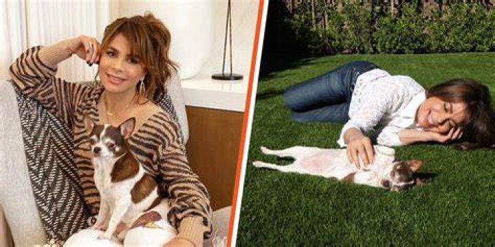 Unraveling The Mystery: Does Paula Abdul Have Kids?