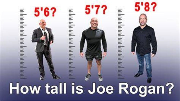 Unveiling His Impressive Height And Weight