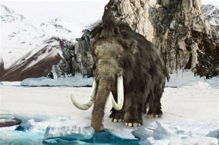Unveiling Prehistoric Secrets From The Ice