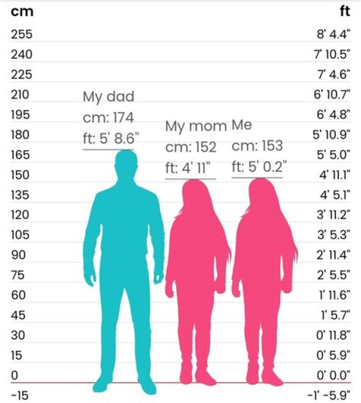 Unveiling Robert Conrad's Towering Height