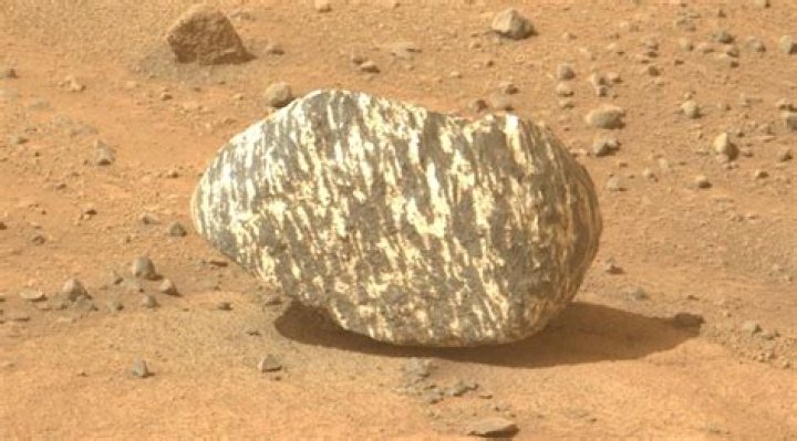 Unveiling Saffire Matos: Discoveries And Insights Await!