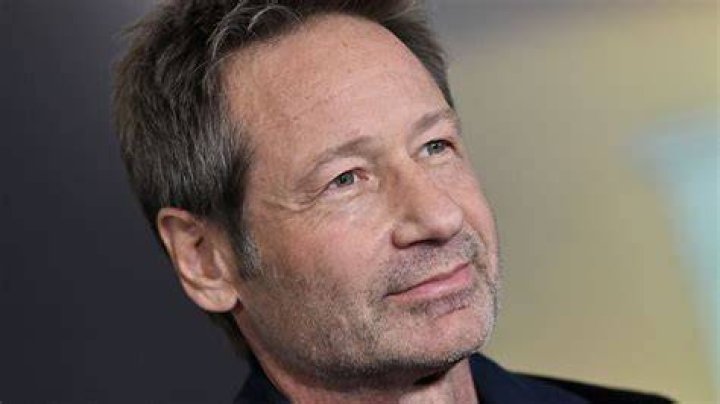 Unveiling The Acting Aspirations: Is David Duchovny's Son An Actor?