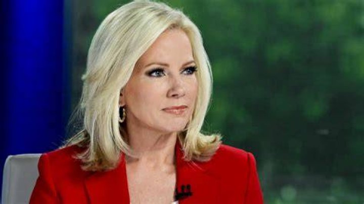 Unveiling The Ages Of Shannon Bream's Children