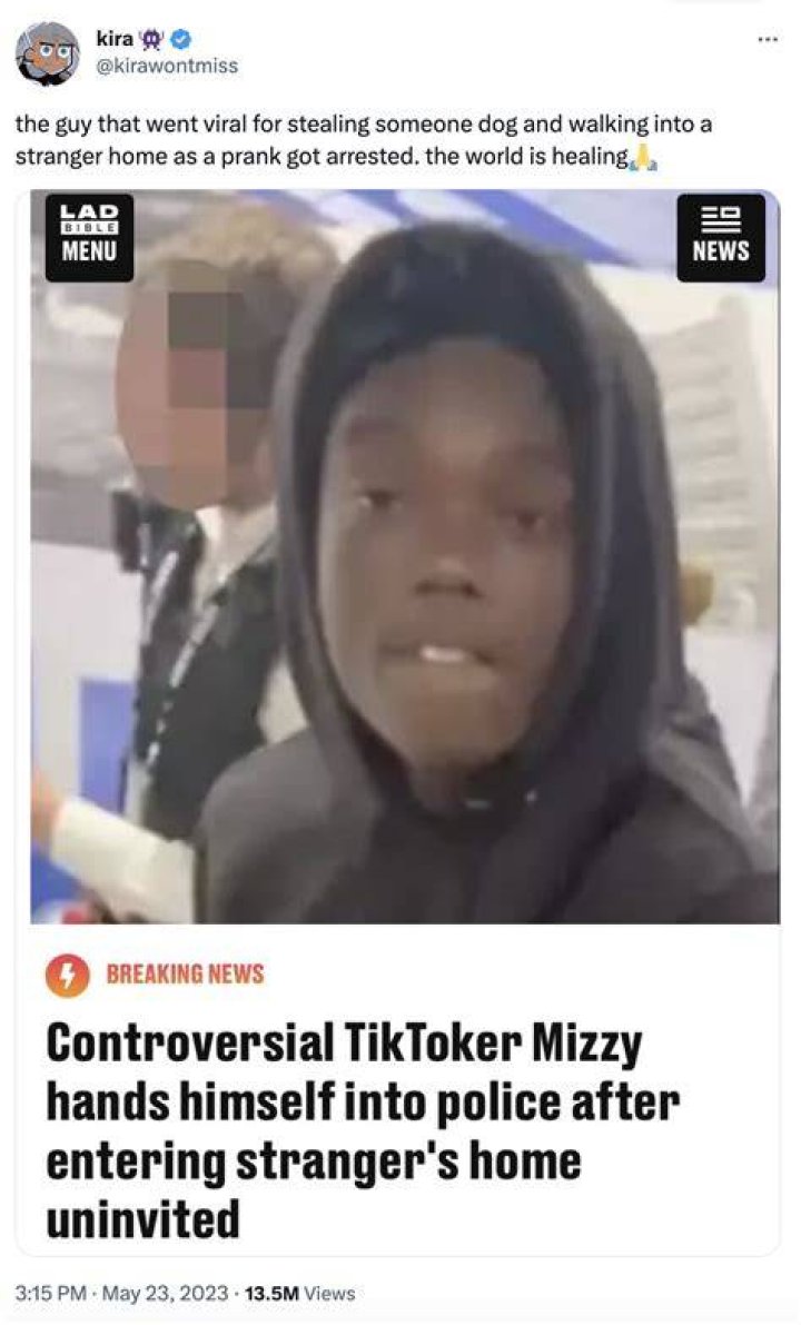 Unveiling The Arrest Of Controversial TikTok Star Mizzy: Breaking News And Updates