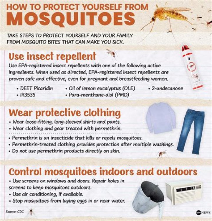 Unveiling The Buzz-Free Secret: Bubbles Keep Mosquitoes Away