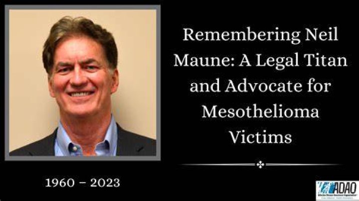 Unveiling The Decline Of A Legal Titan