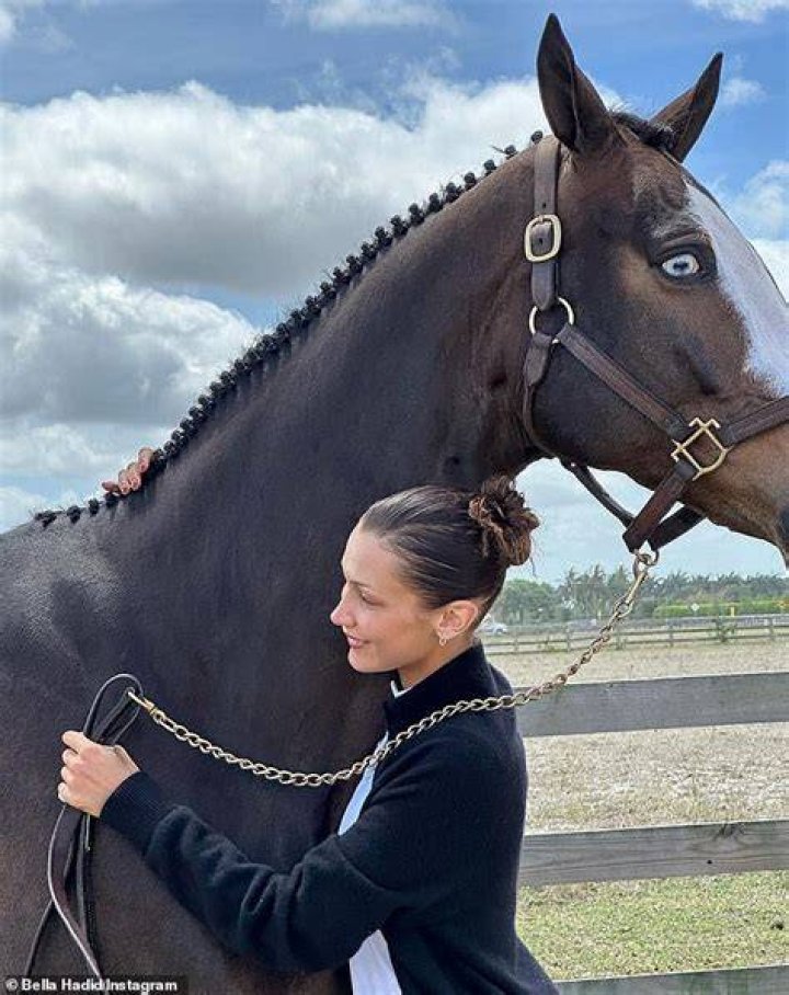 Unveiling The Equestrian And Modeling Prowess Of Dale Davis's Daughter