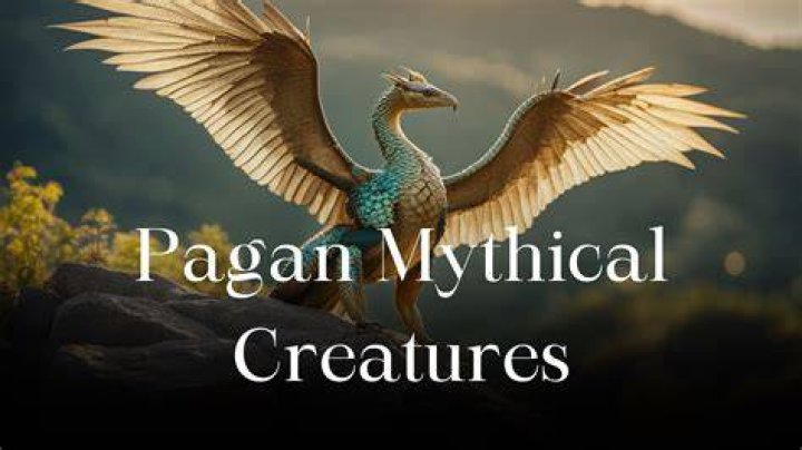 Unveiling The Mysterious World Of A Colorful Creature