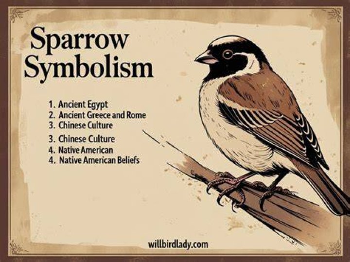 Unveiling The Native American Sparrow's Profound Symbolism