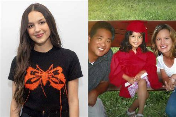 Unveiling The Origins Of Olivia Rodrigo's Parents