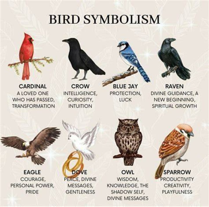 Unveiling The Profound Symbolism Of Birds