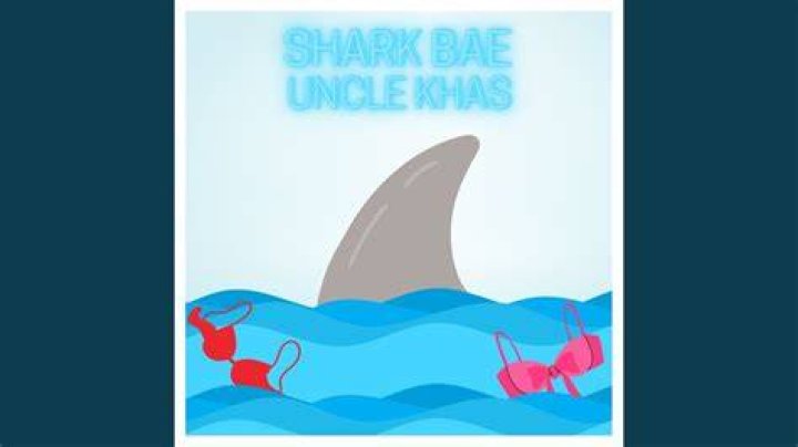 Unveiling The Truth Behind The "Shark Bae OnlyFans Leak"