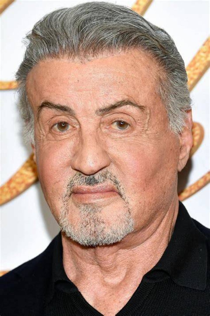 Unveiling The Truth: Sylvester Stallone's Wheelchair Enigma