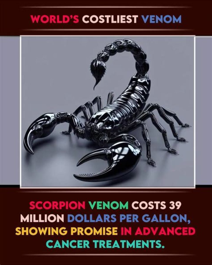 Valuable Scorpion Venom: Uncovering Its Worth