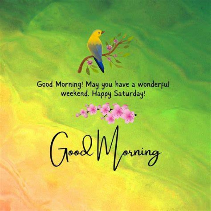 Vibrant Happy Saturday Quotes To Greet The Weekend