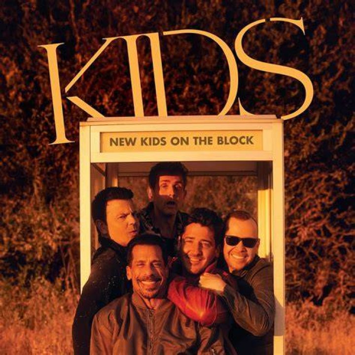 Was Mark Wahlberg Ever In New Kids On The Block?