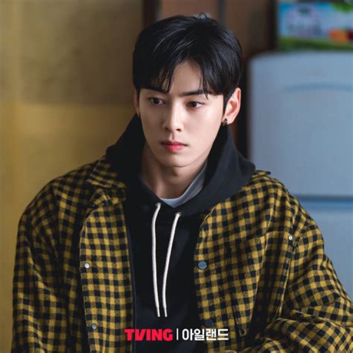 Watch Captivating TV Shows Starring Cha Eun Woo