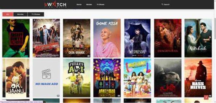 Watch Movies And TV Shows Online With Bflixru