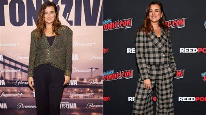 What's Cote De Pablo Up To Now? Unveiling Her Recent Projects
