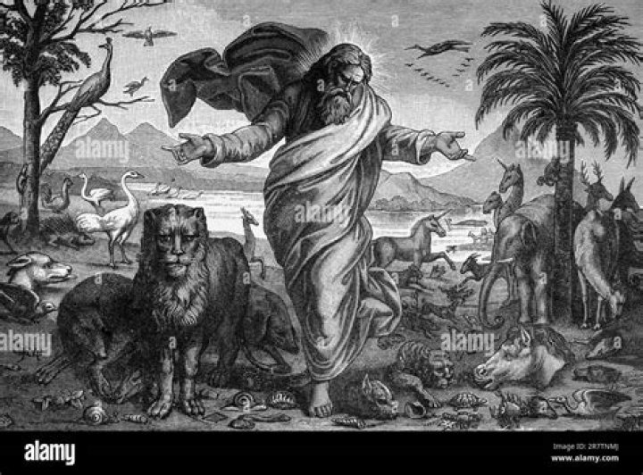 What did God create on the fifth day of creation?