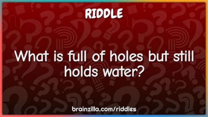 What is full of holes but still holds water? Riddle Answer