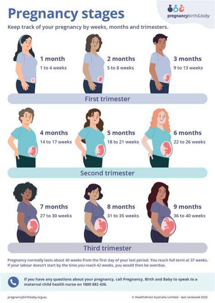 What Month Does: Your Questions Answered