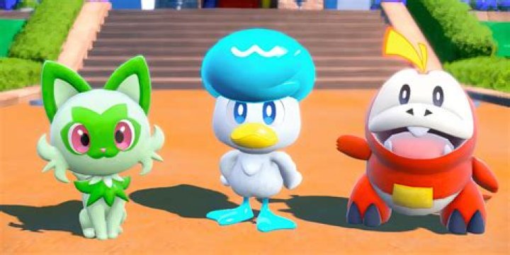 Where to find hold itemsin Pokmon Scarlet and Violet