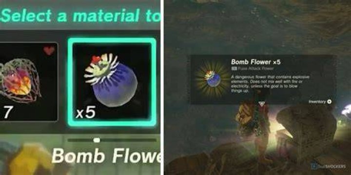 Where To Find The Most Exquisite Bomb Flowers: Your Ultimate Guide