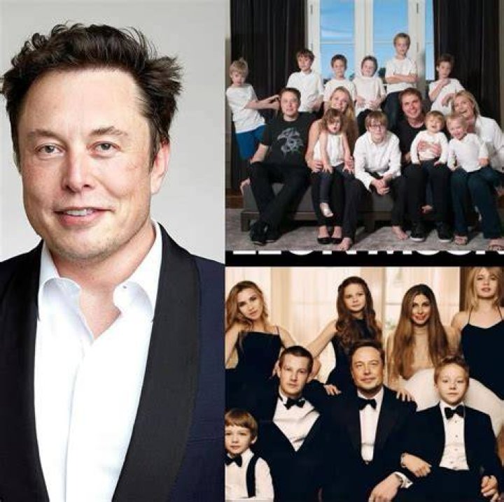 Who Are Elon Musk's Brothers?